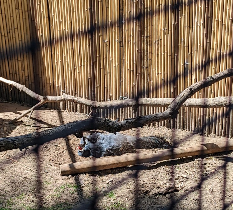 Dakota Zoo (Bismarck,&nbspND)